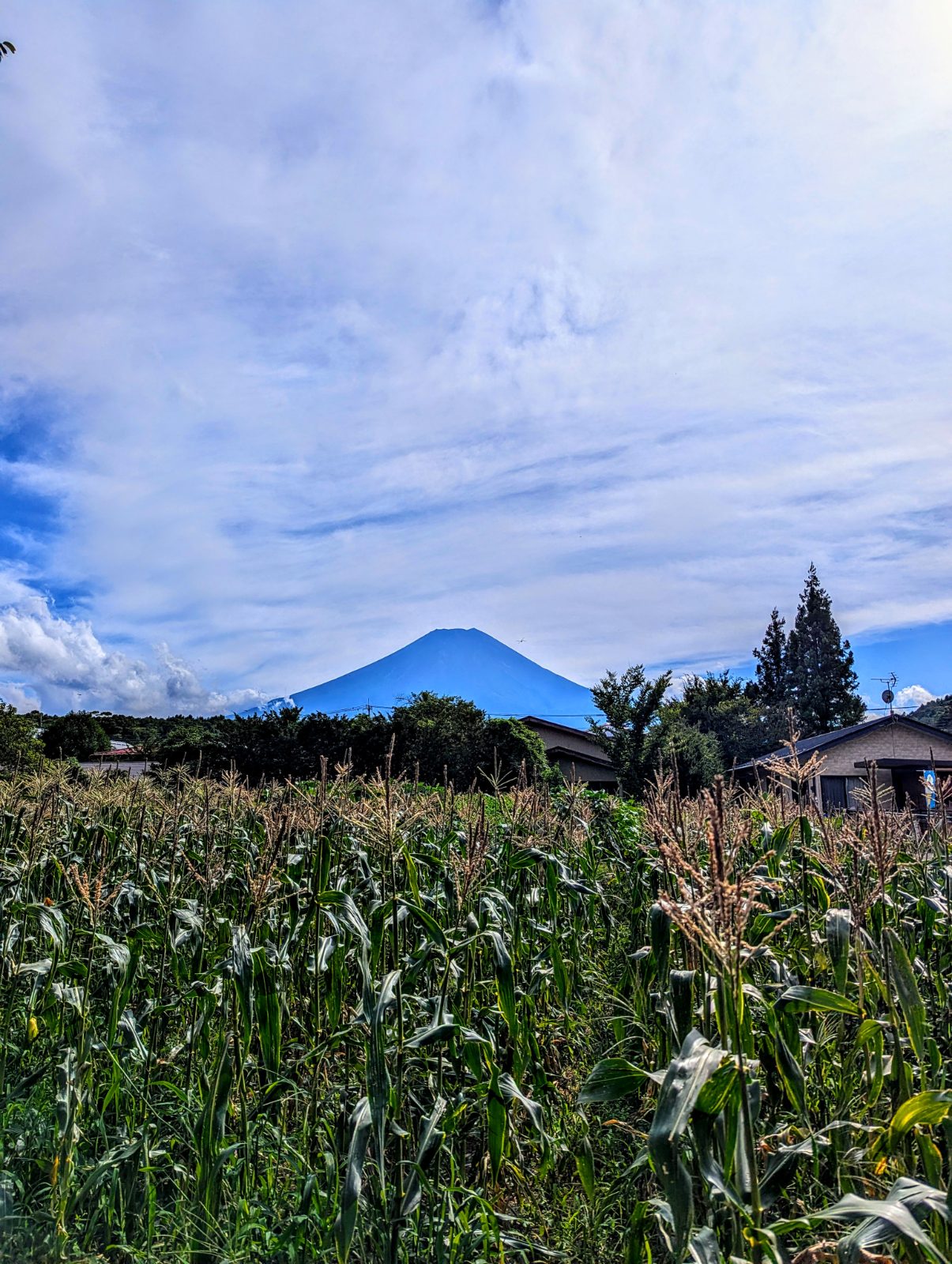 Mont Fuji